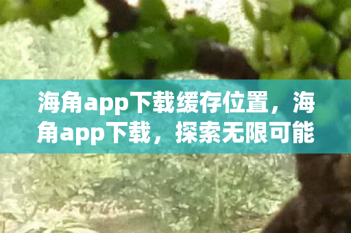 海角app下载缓存位置，海角app下载，探索无限可能的移动娱乐新平台