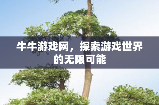 牛牛游戏网，探索游戏世界的无限可能
