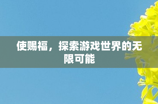 使赐福，探索游戏世界的无限可能