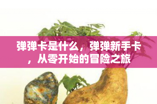弹弹卡是什么，弹弹新手卡，从零开始的冒险之旅