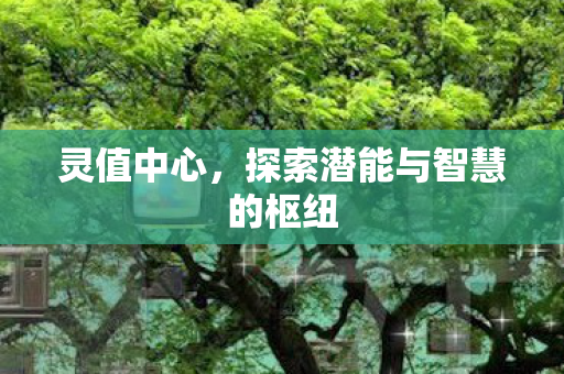 灵值中心，探索潜能与智慧的枢纽