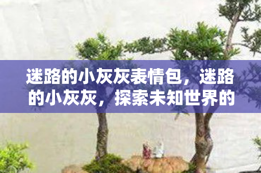 迷路的小灰灰表情包，迷路的小灰灰，探索未知世界的奇妙旅程