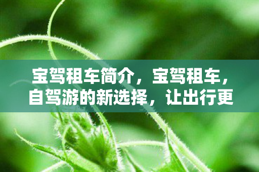 宝驾租车简介，宝驾租车，自驾游的新选择，让出行更便捷