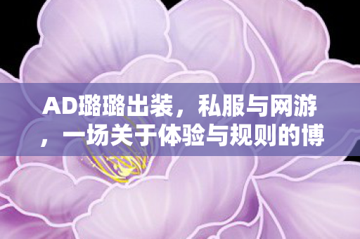 AD璐璐出装，私服与网游，一场关于体验与规则的博弈