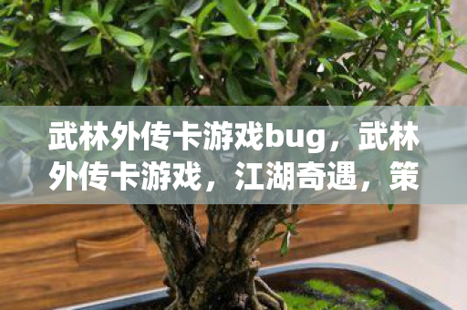 武林外传卡游戏bug，武林外传卡游戏，江湖奇遇，策略与智慧的碰撞