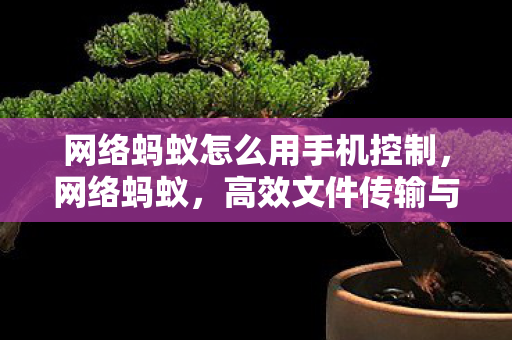 网络蚂蚁怎么用手机控制，网络蚂蚁，高效文件传输与管理的实用指南