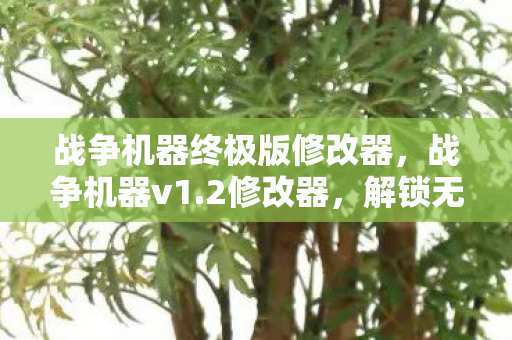 战争机器终极版修改器，战争机器v1.2修改器，解锁无限可能的战斗体验