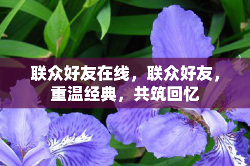 联众好友在线，联众好友，重温经典，共筑回忆