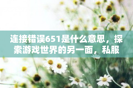 连接错误651是什么意思，探索游戏世界的另一面，私服与官方服务器的独特对比