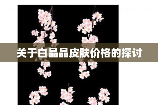 关于白晶晶皮肤价格的探讨