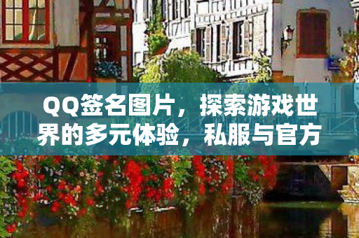 QQ签名图片，探索游戏世界的多元体验，私服与官方服务器的独特魅力