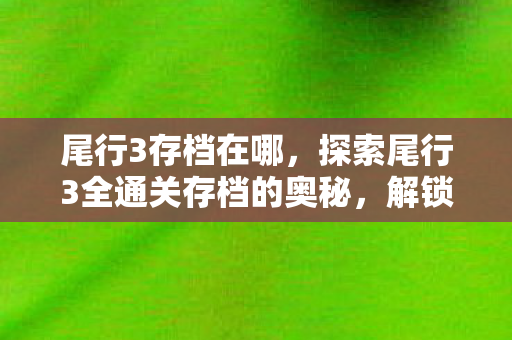尾行3存档在哪，探索尾行3全通关存档的奥秘，解锁游戏新境界的指南