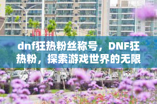 dnf狂热粉丝称号，DNF狂热粉，探索游戏世界的无限可能