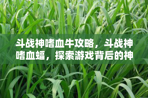 斗战神嗜血牛攻略，斗战神嗜血蝠，探索游戏背后的神秘与激情