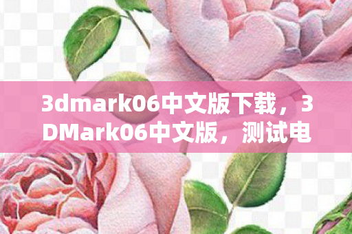 3dmark06中文版下载，3DMark06中文版，测试电脑性能的利器