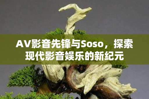 AV影音先锋与Soso，探索现代影音娱乐的新纪元