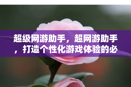 超级网游助手，超网游助手，打造个性化游戏体验的必备工具
