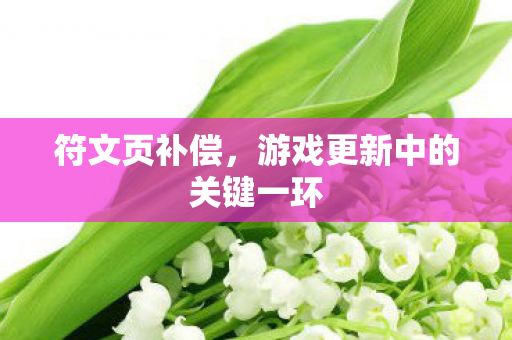 符文页补偿，游戏更新中的关键一环