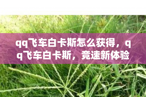qq飞车白卡斯怎么获得，qq飞车白卡斯，竞速新体验，赛道新挑战