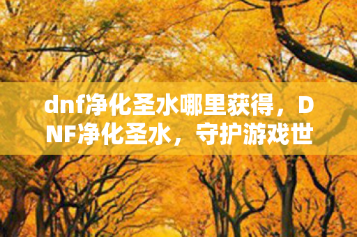 dnf净化圣水哪里获得，DNF净化圣水，守护游戏世界的纯净之源