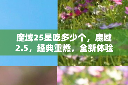 魔域25星吃多少个，魔域2.5，经典重燃，全新体验再续传奇