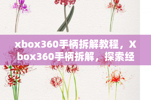 xbox360手柄拆解教程，Xbox360手柄拆解，探索经典游戏配件的内部构造