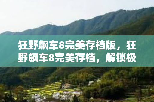 狂野飙车8完美存档版，狂野飙车8完美存档，解锁极速驾驶的终极秘籍