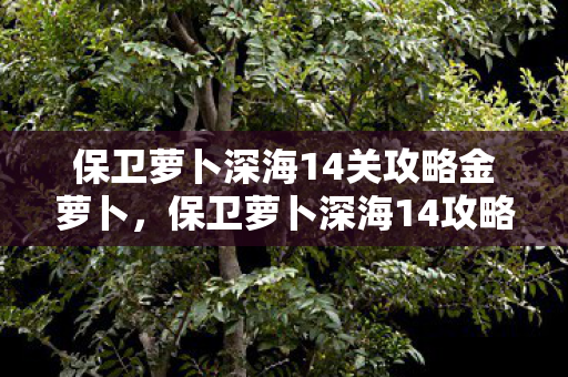 保卫萝卜深海14关攻略金萝卜，保卫萝卜深海14攻略金萝卜布阵图