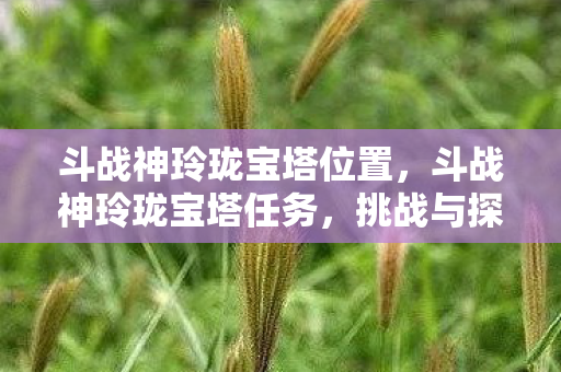 斗战神玲珑宝塔位置，斗战神玲珑宝塔任务，挑战与探索的奇幻之旅