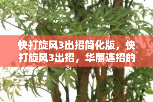 快打旋风3出招简化版，快打旋风3出招，华丽连招的极致展现