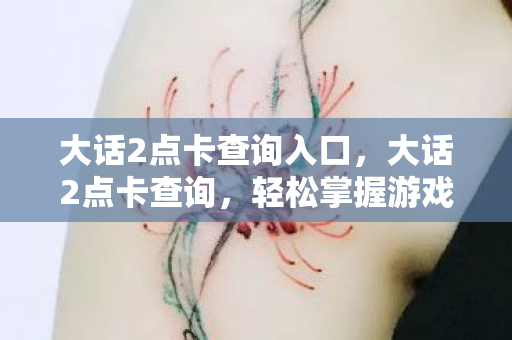 大话2点卡查询入口，大话2点卡查询，轻松掌握游戏消费，避免不必要的损失