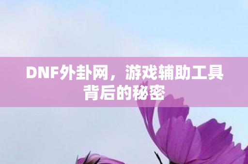 DNF外卦网，游戏辅助工具背后的秘密
