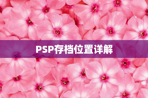 PSP存档位置详解