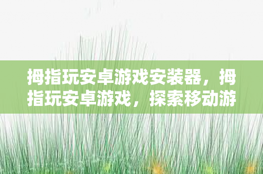 拇指玩安卓游戏安装器，拇指玩安卓游戏，探索移动游戏的无限可能