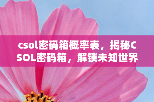 csol密码箱概率表，揭秘CSOL密码箱，解锁未知世界的神秘钥匙