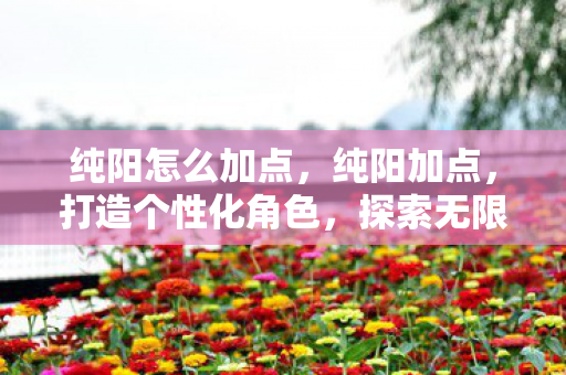 纯阳怎么加点，纯阳加点，打造个性化角色，探索无限可能