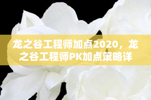 龙之谷工程师加点2020，龙之谷工程师PK加点策略详解