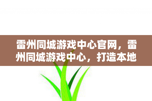 雷州同城游戏中心官网，雷州同城游戏中心，打造本地化的游戏娱乐新体验