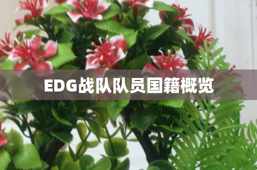 EDG战队队员国籍概览