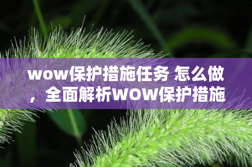 wow保护措施任务 怎么做，全面解析WOW保护措施，保障游戏安全与公平