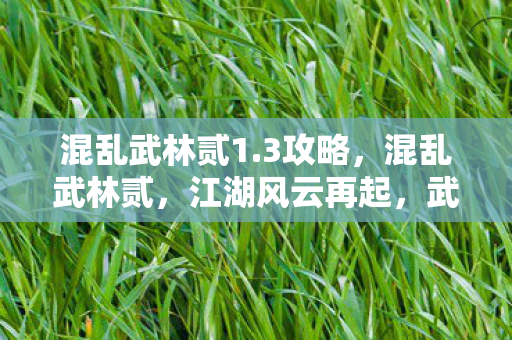 混乱武林贰1.3攻略，混乱武林贰，江湖风云再起，武林新篇章