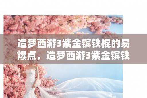 造梦西游3紫金镔铁棍的易爆点，造梦西游3紫金镔铁棍易爆点揭秘，打造极品装备的技巧与心得