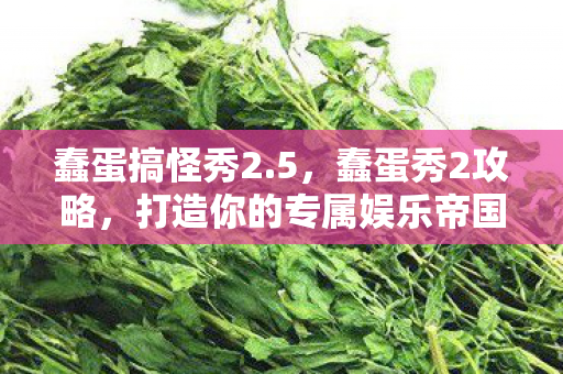 蠢蛋搞怪秀2.5，蠢蛋秀2攻略，打造你的专属娱乐帝国