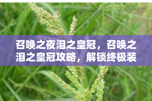 召唤之夜泪之皇冠，召唤之泪之皇冠攻略，解锁终极装备的秘密