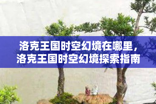 洛克王国时空幻境在哪里，洛克王国时空幻境探索指南