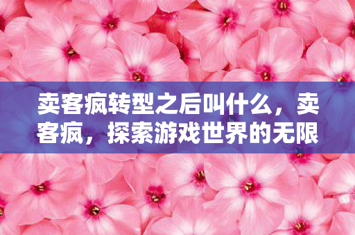 卖客疯转型之后叫什么，卖客疯，探索游戏世界的无限可能