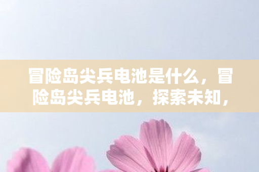 冒险岛尖兵电池是什么，冒险岛尖兵电池，探索未知，点亮前行的力量