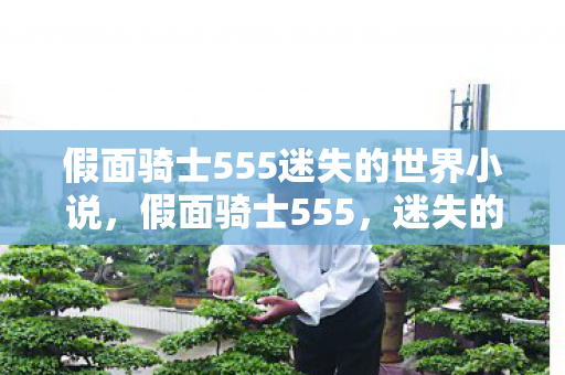 假面骑士555迷失的世界小说，假面骑士555，迷失的世界