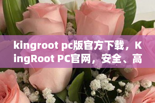 kingroot pc版官方下载，KingRoot PC官网，安全、高效、专业的电脑管理软件