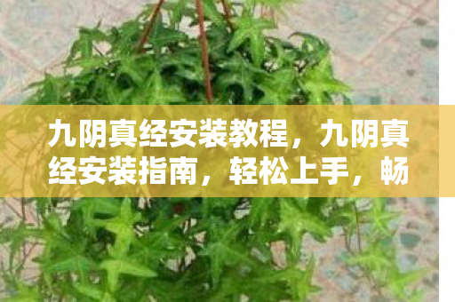 九阴真经安装教程，九阴真经安装指南，轻松上手，畅游武侠世界